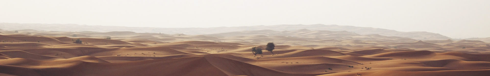 ϱлƼ޹˾